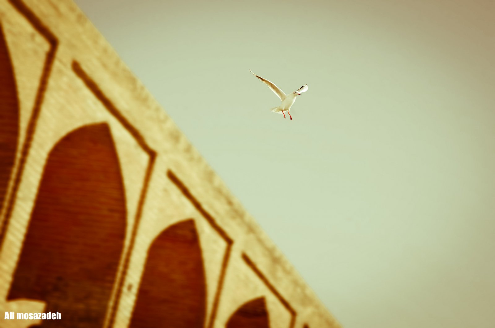 نام: DSC_1931c.jpg نمایش: 769 اندازه: 90.9 کیلو بایت