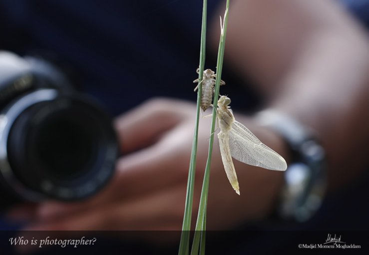 نام: IMG_0975-1.jpg نمایش: 706 اندازه: 33.1 کیلو بایت