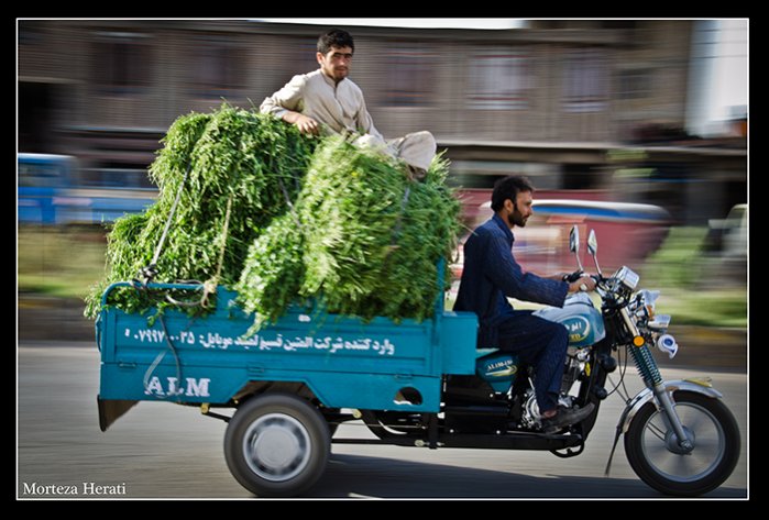 نام: kargar.jpg نمایش: 4755 اندازه: 77.9 کیلو بایت