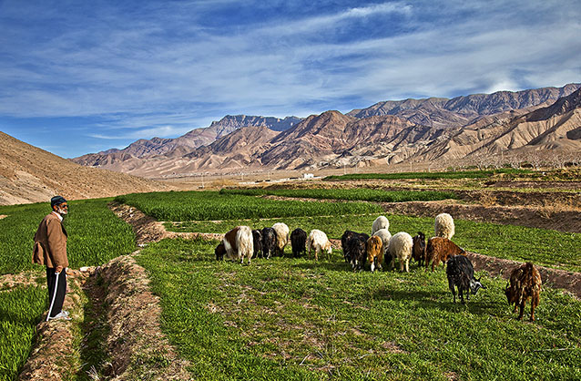 نام: RE.jpg نمایش: 204 اندازه: 166.6 کیلو بایت