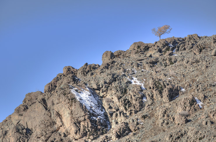 نام: Tanha.jpg نمایش: 760 اندازه: 181.4 کیلو بایت