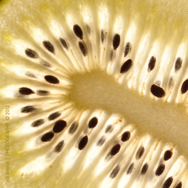نام: Kiwi_Section_Cropped_Resized750.jpg نمایش: 513 اندازه: 242.2 کیلو بایت