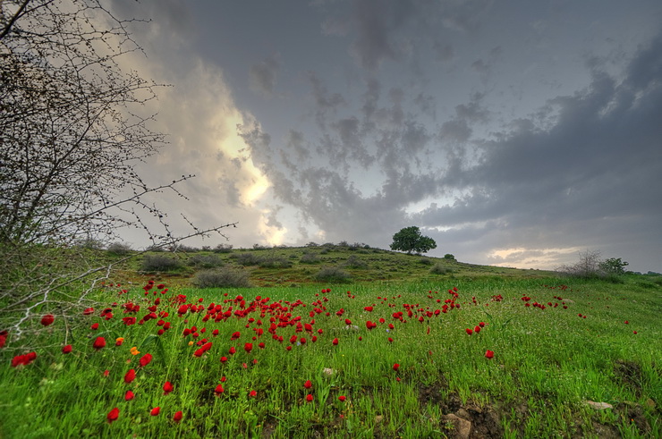 نام: DSC_3655_tonemapped__740.jpg نمایش: 420 اندازه: 189.6 کیلو بایت
