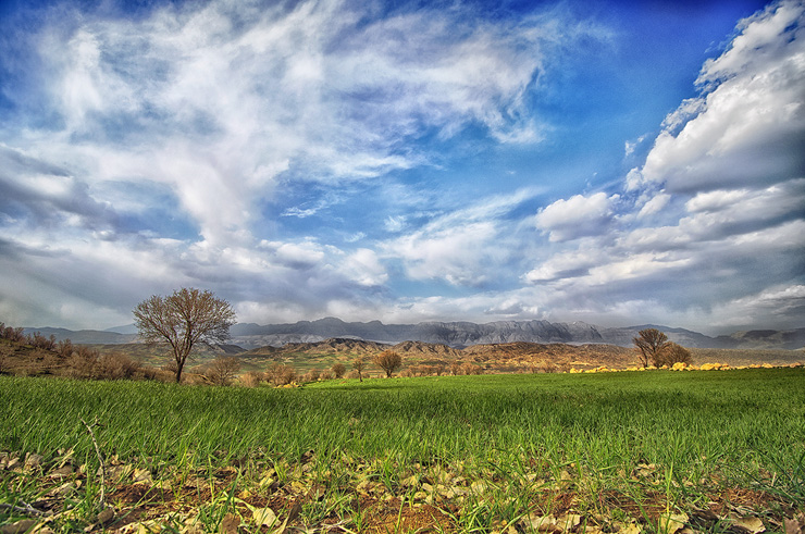 نام: _DSC3270-a-740.jpg نمایش: 481 اندازه: 243.8 کیلو بایت