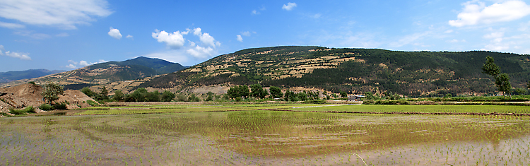 نام: IMG_2956 Panorama copy.jpg نمایش: 862 اندازه: 259.6 کیلو بایت