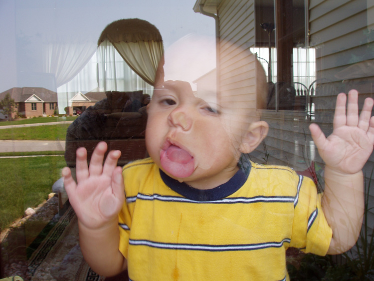 نام: Snapshot-baby-antics.jpg نمایش: 1144 اندازه: 156.5 کیلو بایت