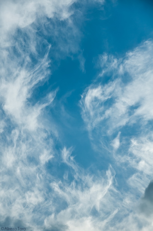 نام: 20120629_6947-2 RW.JPG نمایش: 653 اندازه: 146.2 کیلو بایت