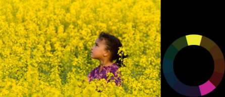 نام: color-contrast-3.jpg نمایش: 887 اندازه: 24.5 کیلو بایت
