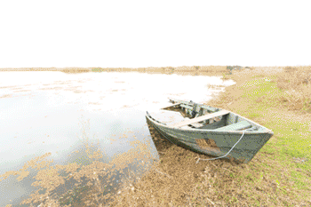 نام: IMG_9195-2.gif نمایش: 947 اندازه: 256.0 کیلو بایت