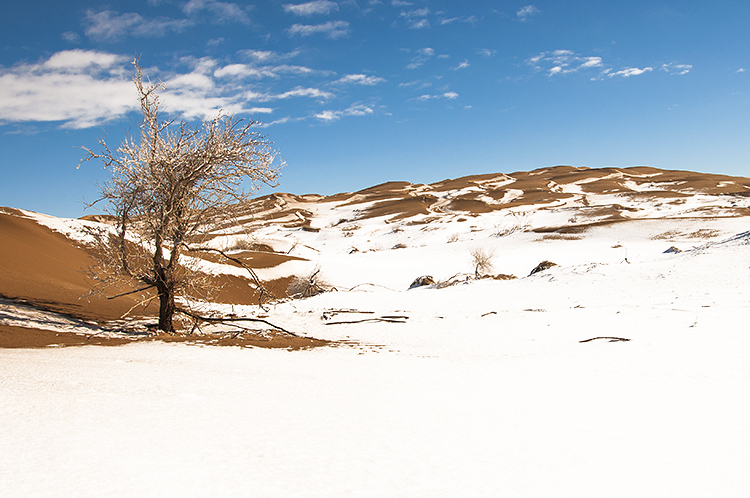 نام: DSC_3312.jpg نمایش: 466 اندازه: 241.8 کیلو بایت