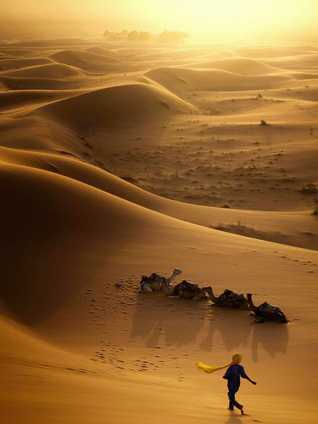 نام: 13.jpg نمایش: 1655 اندازه: 71.5 کیلو بایت