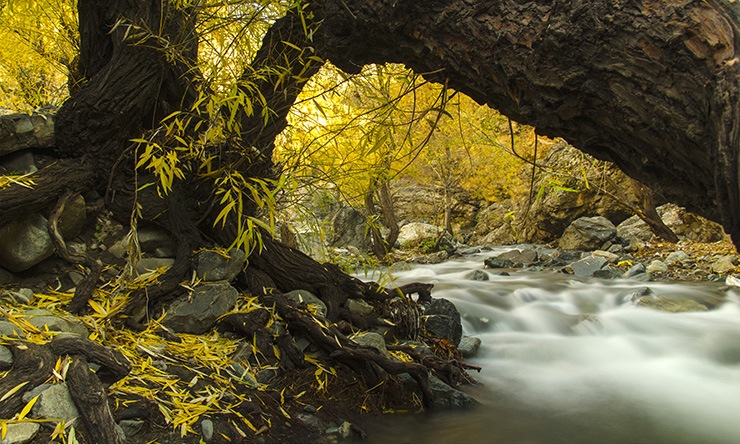 نام: DSC_2048R.jpg نمایش: 735 اندازه: 288.6 کیلو بایت