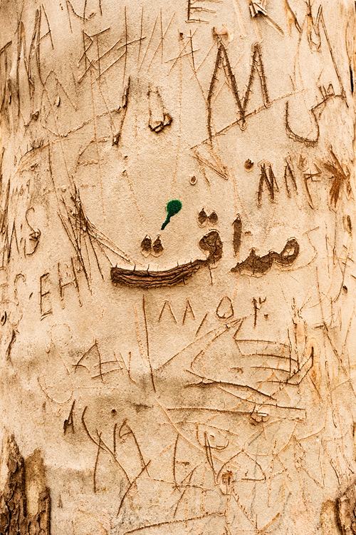 نام: 130129-nmroshan-5978-s.jpg نمایش: 1606 اندازه: 238.7 کیلو بایت