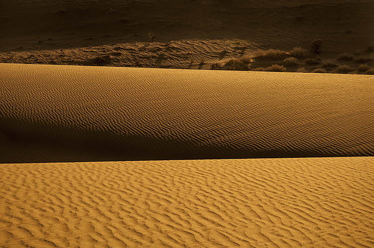 نام: desert.jpg نمایش: 512 اندازه: 259.4 کیلو بایت