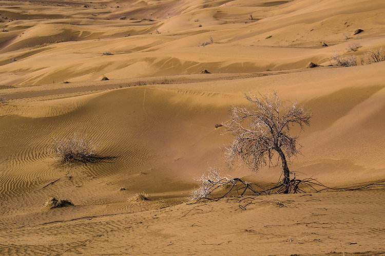 نام: DSC_0138.jpg نمایش: 497 اندازه: 298.6 کیلو بایت
