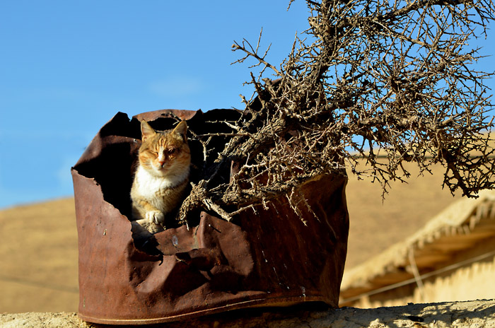 نام: DSC_3287...jpg نمایش: 442 اندازه: 183.8 کیلو بایت