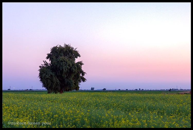 نام: IMG_1558_59_60_tonemapped.jpg نمایش: 480 اندازه: 258.8 کیلو بایت