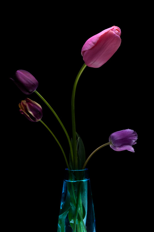 نام: IMG_6187-as-Smart-Object-1ccccs.jpg نمایش: 1403 اندازه: 55.6 کیلو بایت