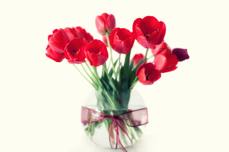 نام: IMG_5772-as-Smart-Object-1-Recoveredccs.jpg نمایش: 1398 اندازه: 65.1 کیلو بایت