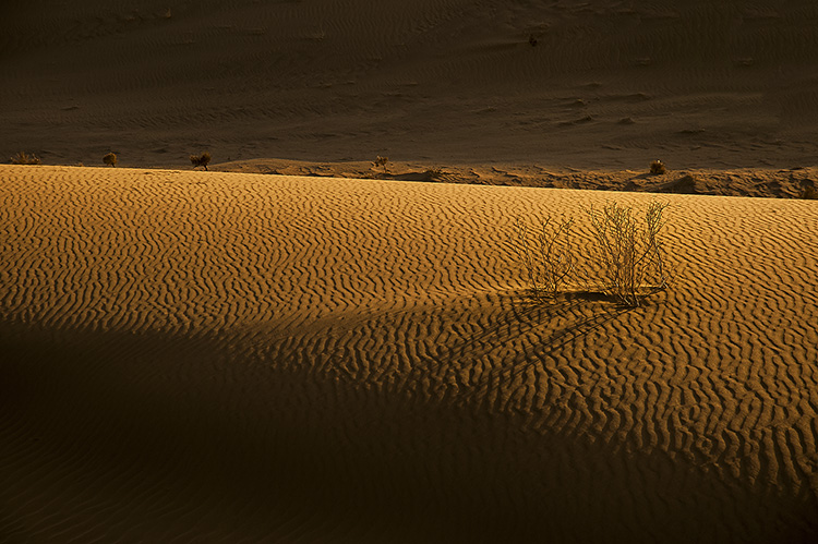 نام: DSC_3908-.jpg نمایش: 486 اندازه: 227.7 کیلو بایت