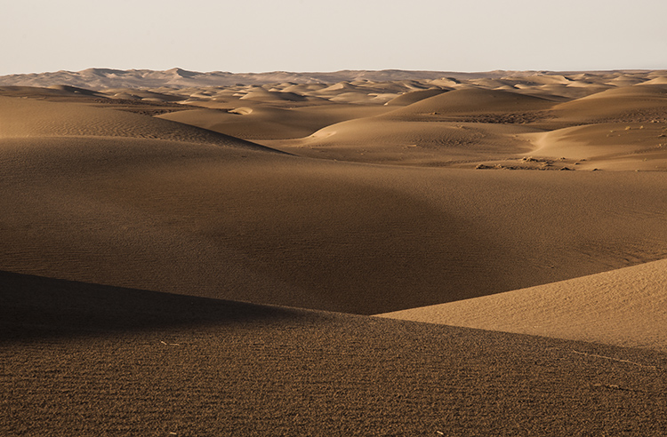 نام: DSC_4199-.jpg نمایش: 564 اندازه: 262.6 کیلو بایت
