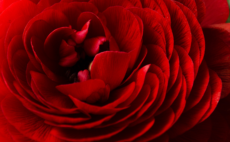 نام: DSC_001re3.jpg نمایش: 366 اندازه: 238.9 کیلو بایت