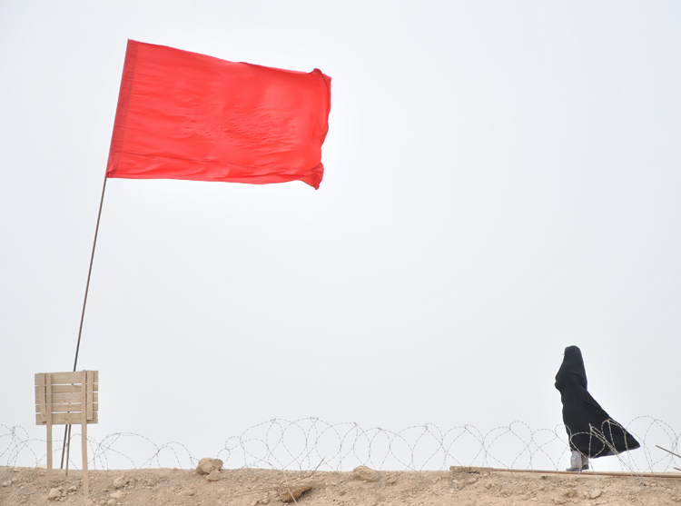 نام: DSC_0241.jpg نمایش: 465 اندازه: 121.9 کیلو بایت
