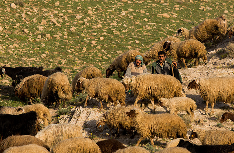 نام: 4.jpg نمایش: 1198 اندازه: 287.3 کیلو بایت
