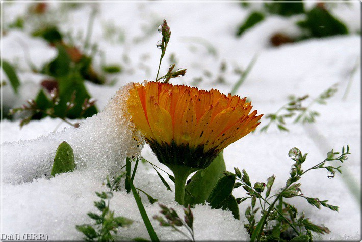 نام: IMG_0937-.jpg نمایش: 646 اندازه: 103.9 کیلو بایت