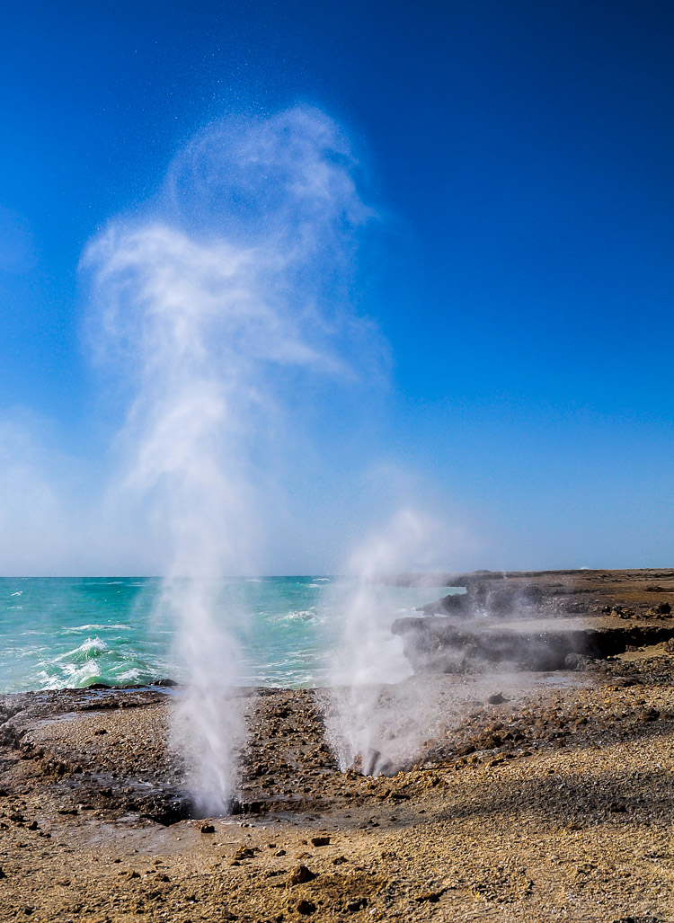 نام: 20121228-DSC_1868.jpg نمایش: 598 اندازه: 262.0 کیلو بایت