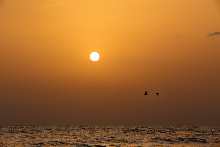 نام: IMG_05akk55.jpg نمایش: 399 اندازه: 193.8 کیلو بایت