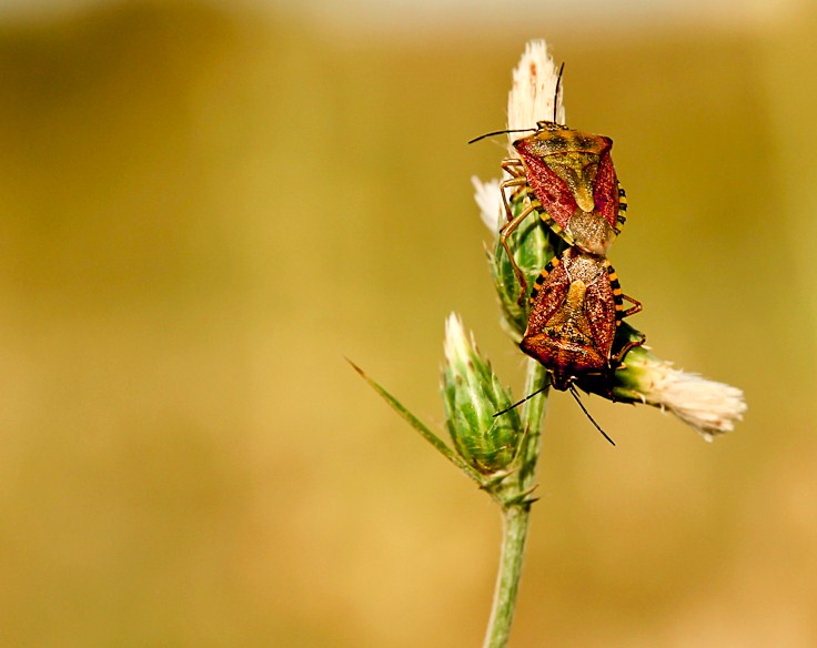 نام: IMG_2620-3.jpg نمایش: 455 اندازه: 82.7 کیلو بایت