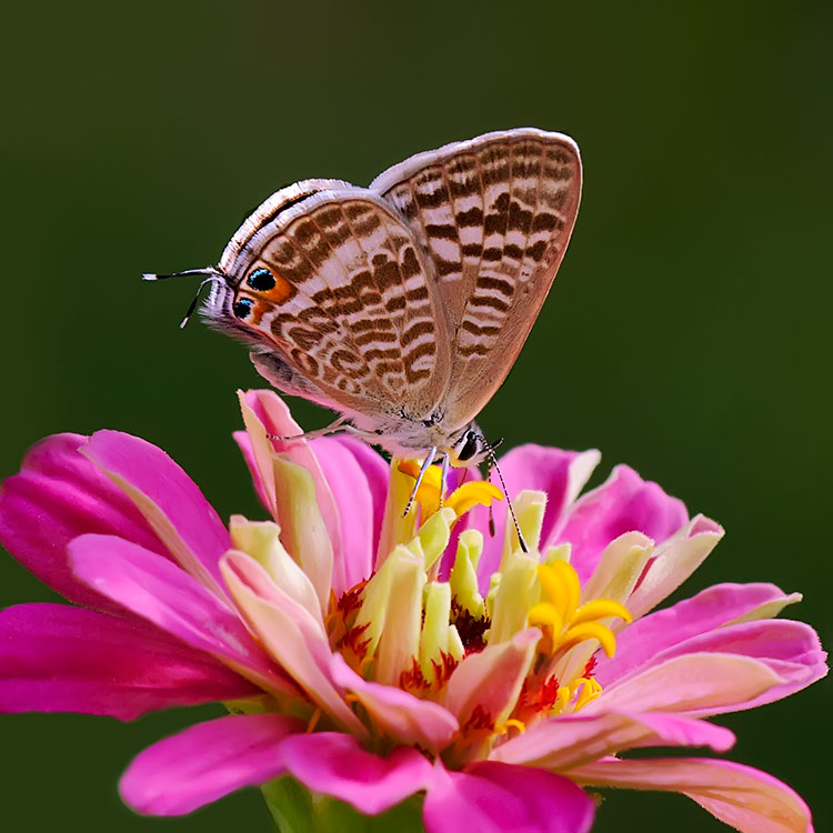 نام: IMG_4132.jpg نمایش: 657 اندازه: 100.9 کیلو بایت