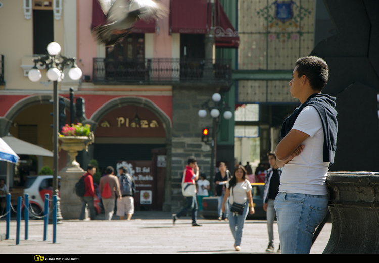 نام: DSC_1050-1re.jpg نمایش: 505 اندازه: 252.9 کیلو بایت