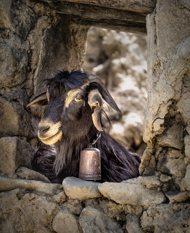 نام: IMG_3329-5.jpg نمایش: 640 اندازه: 273.5 کیلو بایت