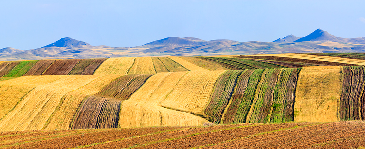 نام: Untitled_Panorama3-akkasee.jpg نمایش: 753 اندازه: 293.7 کیلو بایت