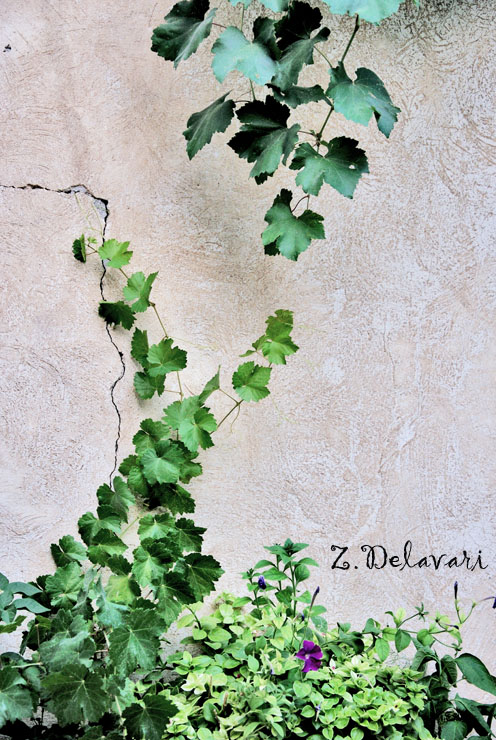 نام: DSC_0794re copy.jpg نمایش: 560 اندازه: 173.8 کیلو بایت