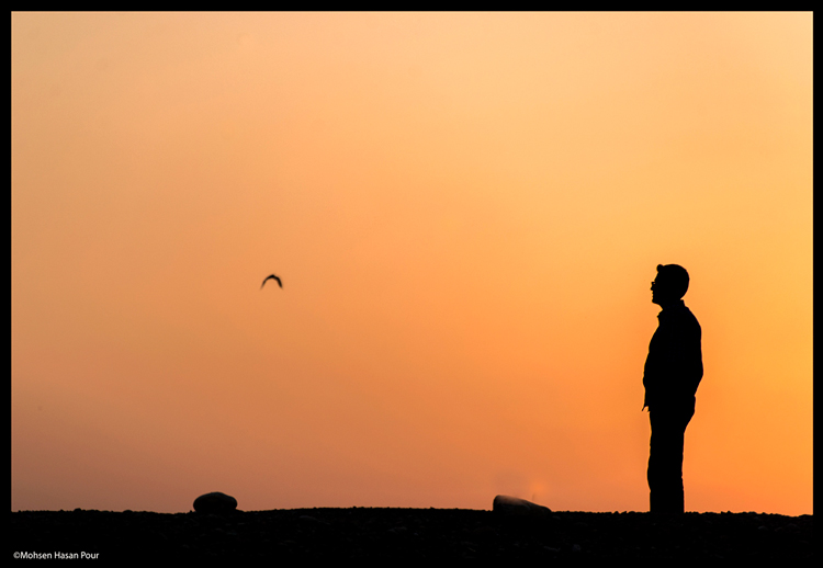 نام: DSC_1071---Copy.jpg نمایش: 406 اندازه: 130.5 کیلو بایت