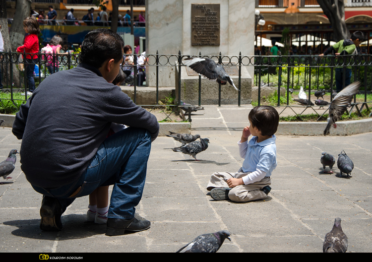 نام: DSC_0856-1re.jpg نمایش: 589 اندازه: 294.6 کیلو بایت