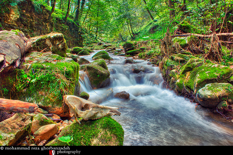 نام: _MG_9087_8_9_tonemapped.jpg نمایش: 933 اندازه: 290.6 کیلو بایت