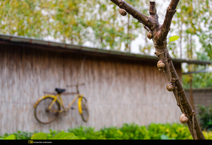 نام: DSC_0448-1re.jpg نمایش: 467 اندازه: 283.3 کیلو بایت
