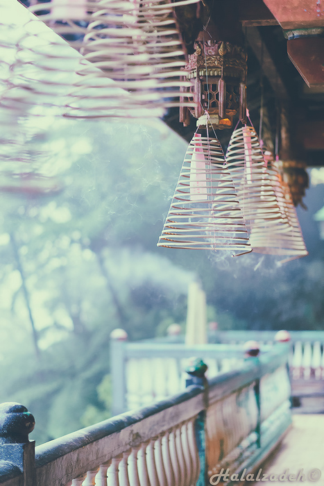 نام: DSC_0441-Edit2.jpg نمایش: 496 اندازه: 190.0 کیلو بایت