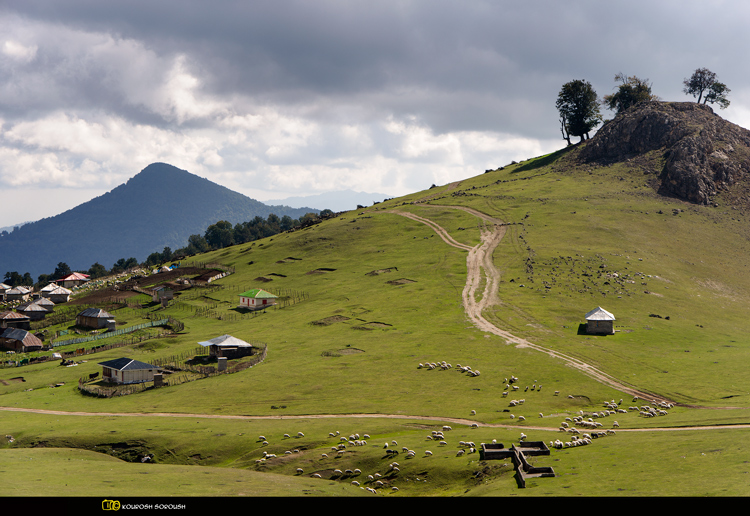 نام: DSC_0142-1re.jpg نمایش: 729 اندازه: 291.3 کیلو بایت