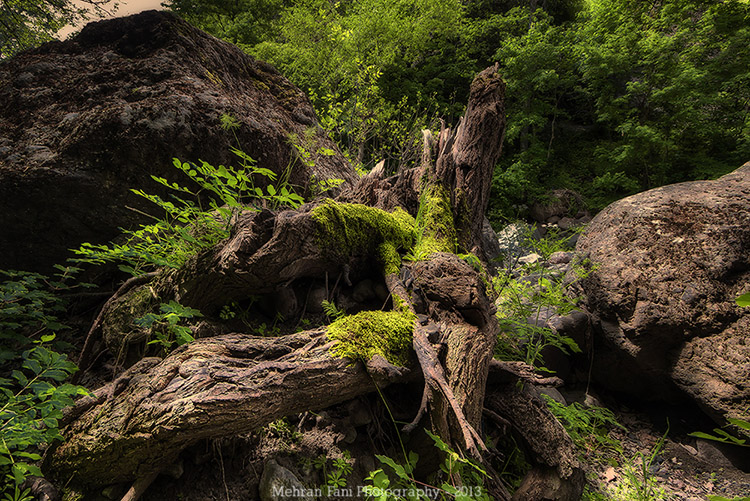 نام: IMG_109284_5_6_7_8_9a_tonemapped.jpg نمایش: 902 اندازه: 269.1 کیلو بایت