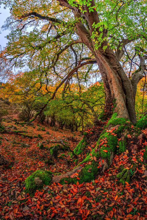 نام: IMG_4044_5_6_7_8_9_tonemapped2.jpg نمایش: 1272 اندازه: 301.7 کیلو بایت
