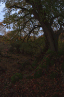 نام: IMG_4044.gif نمایش: 1247 اندازه: 221.2 کیلو بایت
