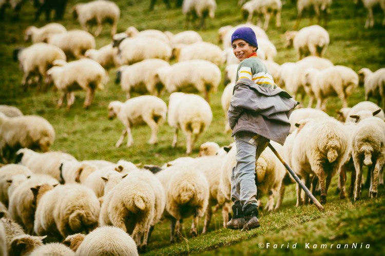 نام: Shepherd boy.jpg نمایش: 1189 اندازه: 154.2 کیلو بایت
