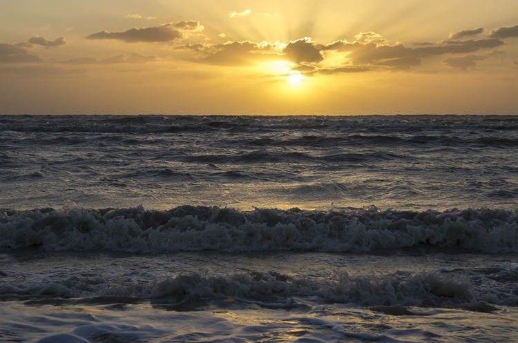 نام: IMG_5998x (Copy).jpg نمایش: 748 اندازه: 193.0 کیلو بایت