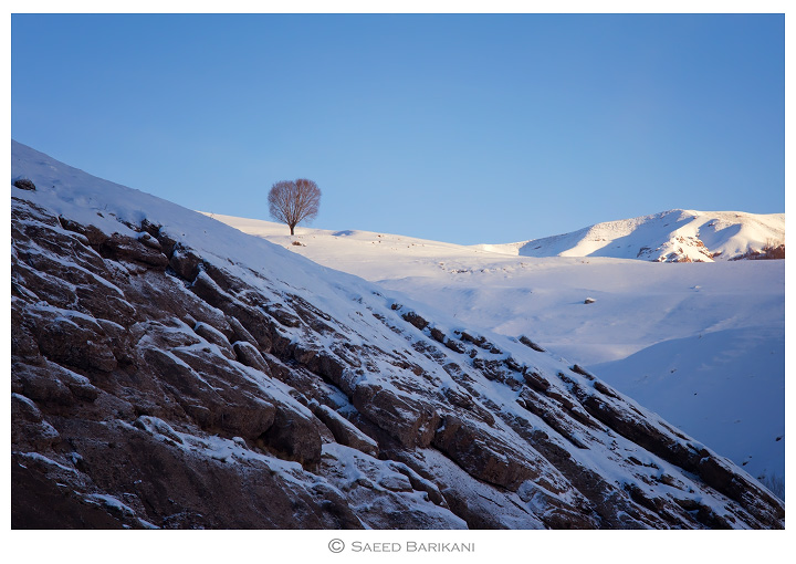 نام: Taleghan (1).jpg نمایش: 860 اندازه: 165.0 کیلو بایت