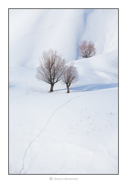 نام: Untitled-2.jpg نمایش: 744 اندازه: 166.9 کیلو بایت